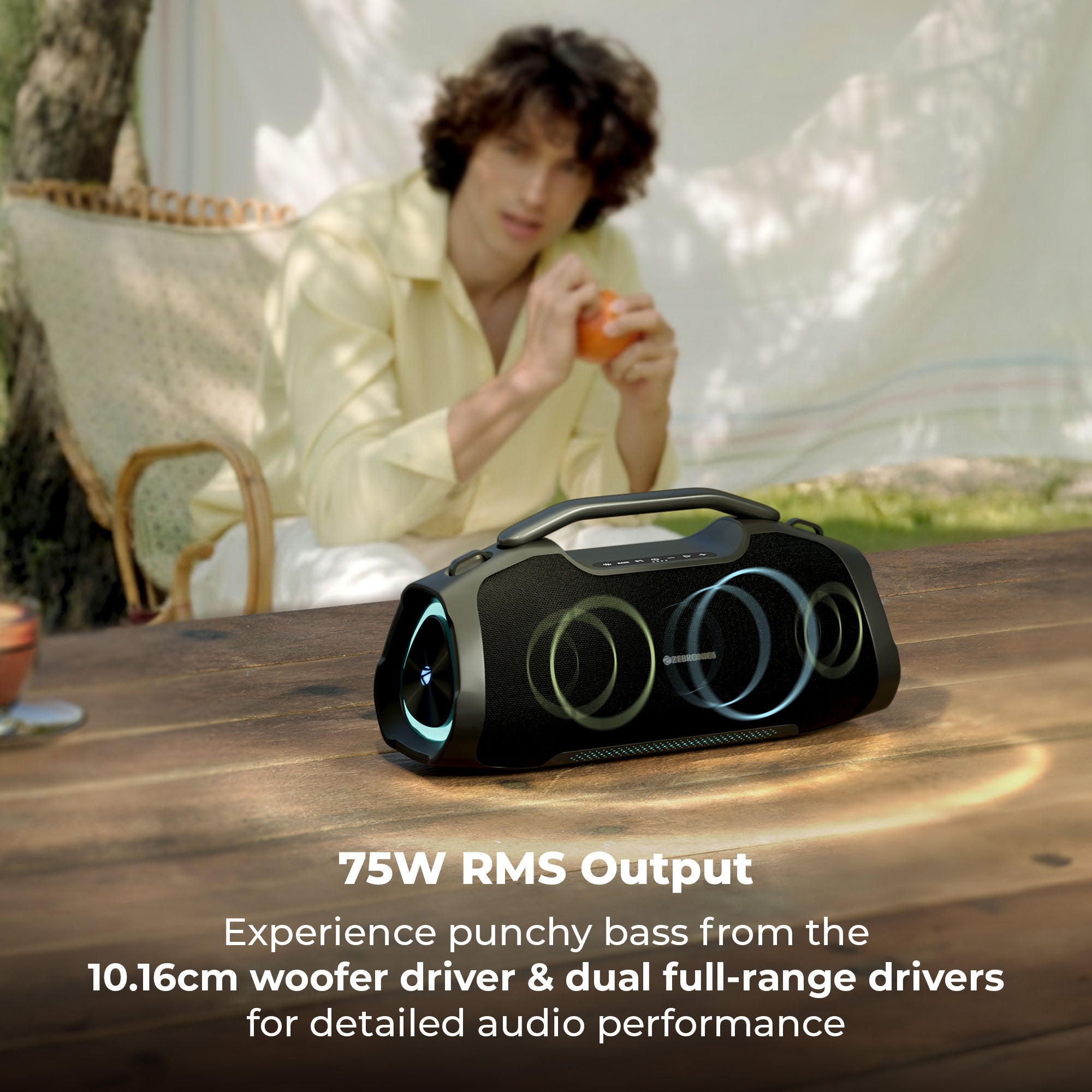 Zeb Sound Feast 550